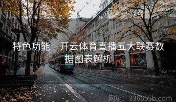 特色功能｜开云体育直播五大联赛数据图表解析