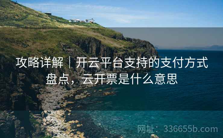 攻略详解｜开云平台支持的支付方式盘点，云开票是什么意思