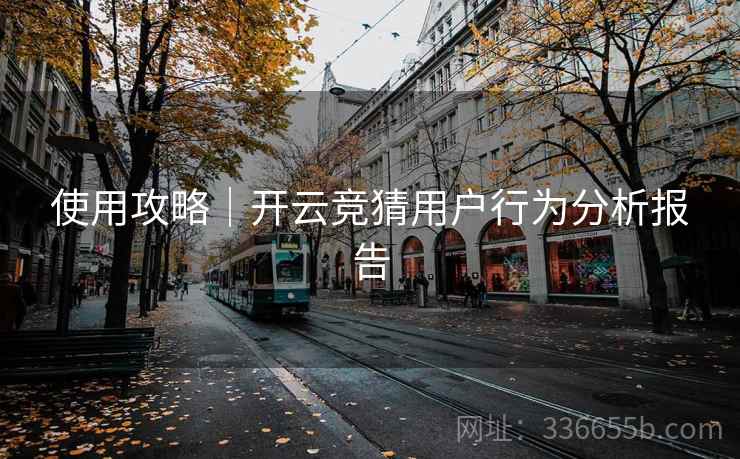 使用攻略｜开云竞猜用户行为分析报告