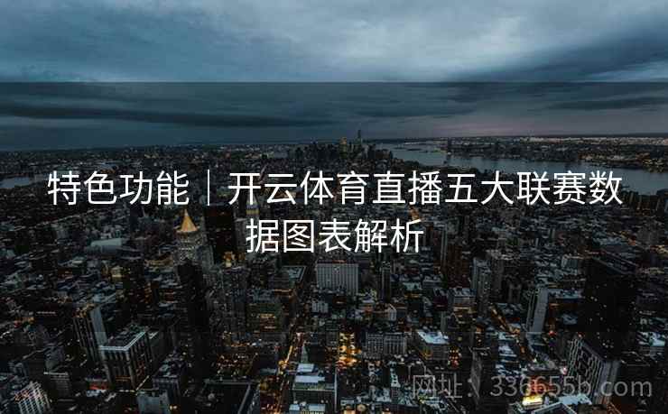 特色功能｜开云体育直播五大联赛数据图表解析