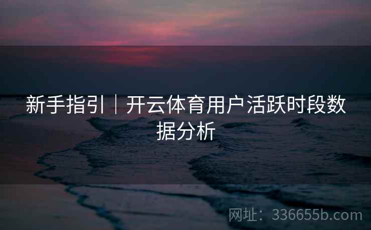 新手指引｜开云体育用户活跃时段数据分析