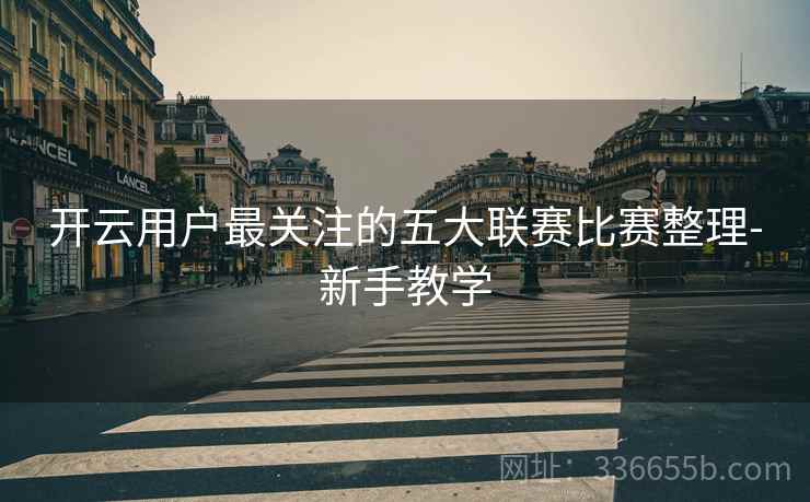 开云用户最关注的五大联赛比赛整理-新手教学